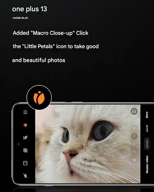 oneplus 13 macro feature