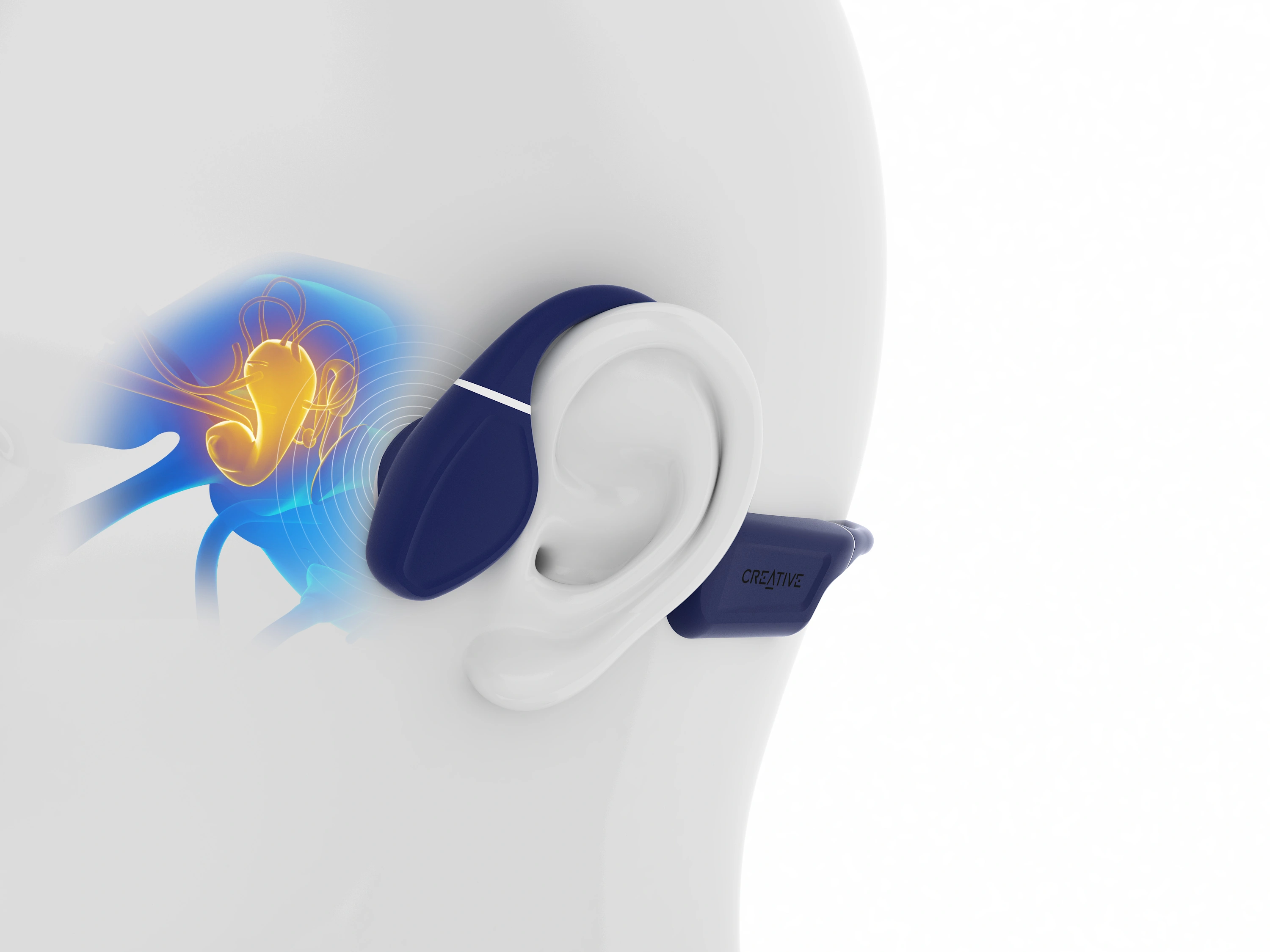 ear