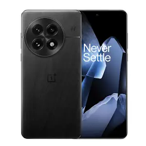 OnePlus 13